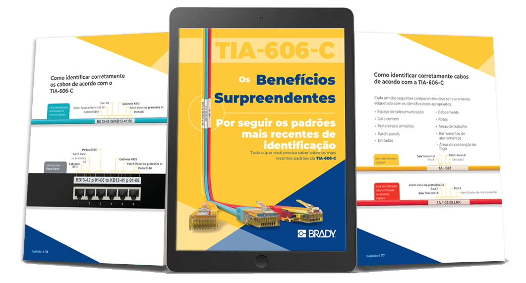 Baixe o exclusivo e-book BRADY