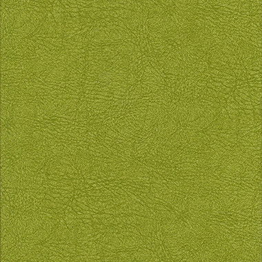 Close up of green textured leather material