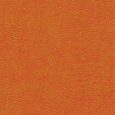 Orange leather textured background with visible grain patterns